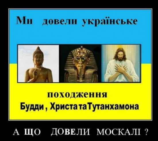 1066561.jpg
